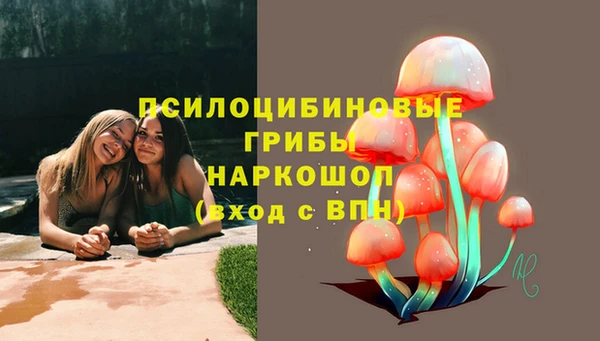 Альфа ПВП Балабаново
